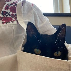 Meet your Posher, Beth